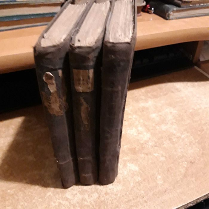 Żywot i sprawy JMP. Medarda z G. Pełki,1-3-Kraszewski-1876 ,pierwodruk