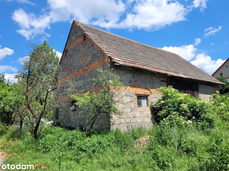 Działka ze stodołą w Stoszowicach - Widok 5