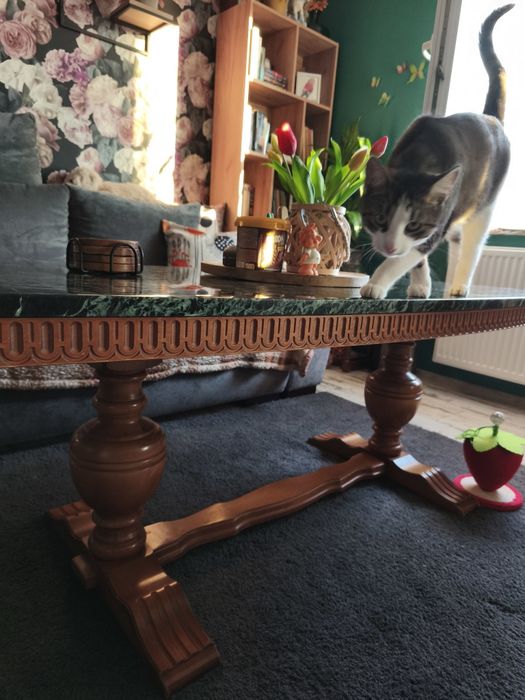 Solidna ława do salonu