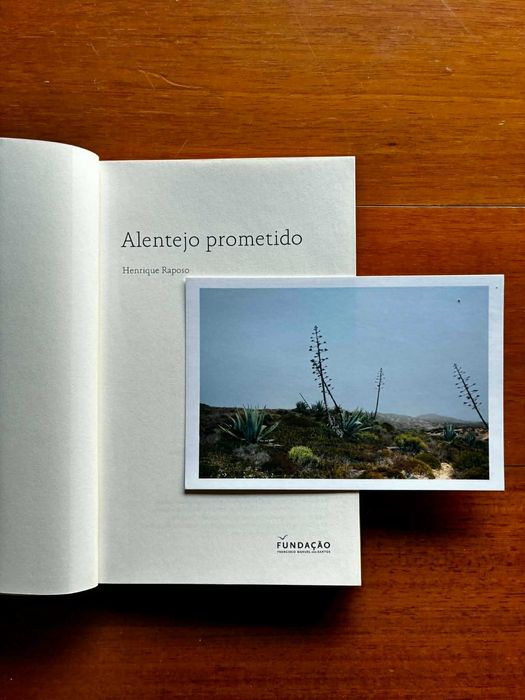 "Alentejo Prometido" de Henrique Raposo