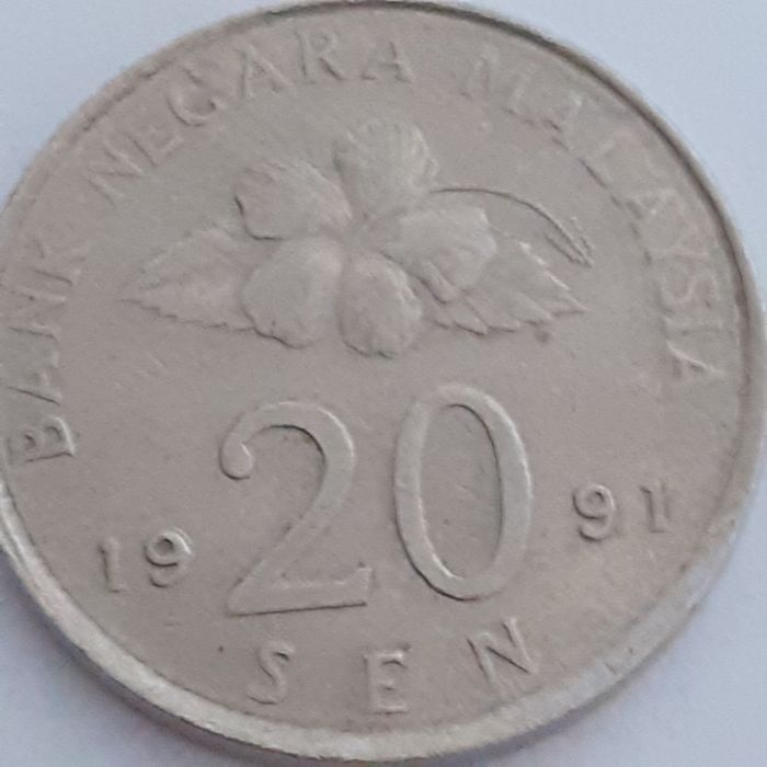 Sprzedam    monetę   z    1991roku.