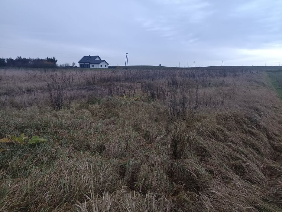 Sprzedam działkę rolną