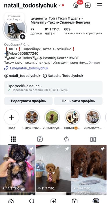 Розкішні малюки кокери