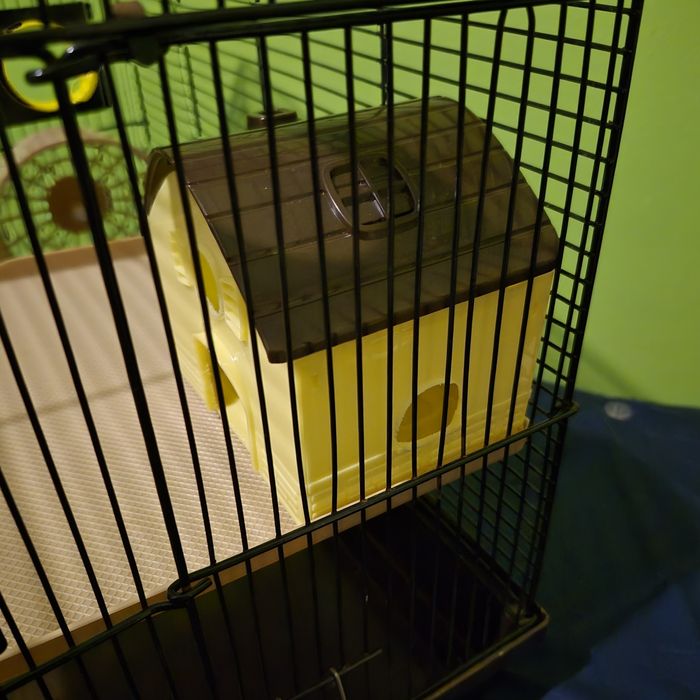 Gaiola e acessórios para hamester