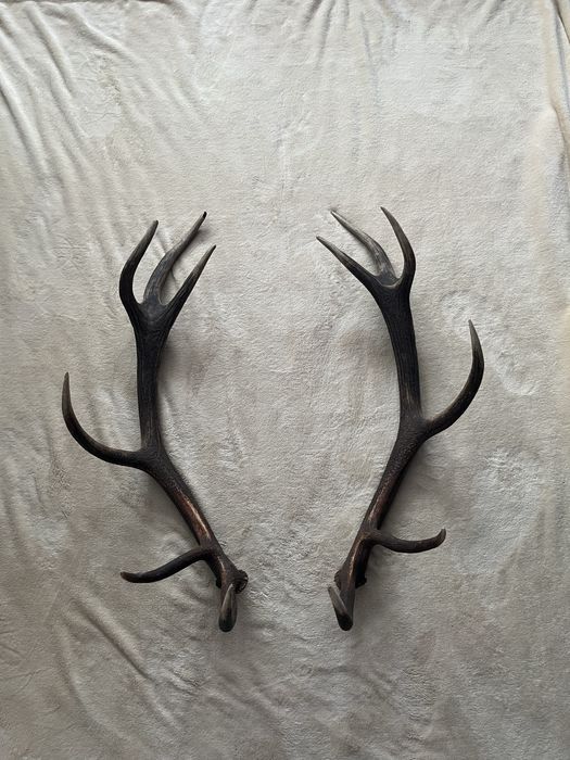 Para zrzutów dwunastak