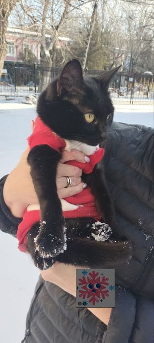 Неймовірна та магічна красуня чекає родину