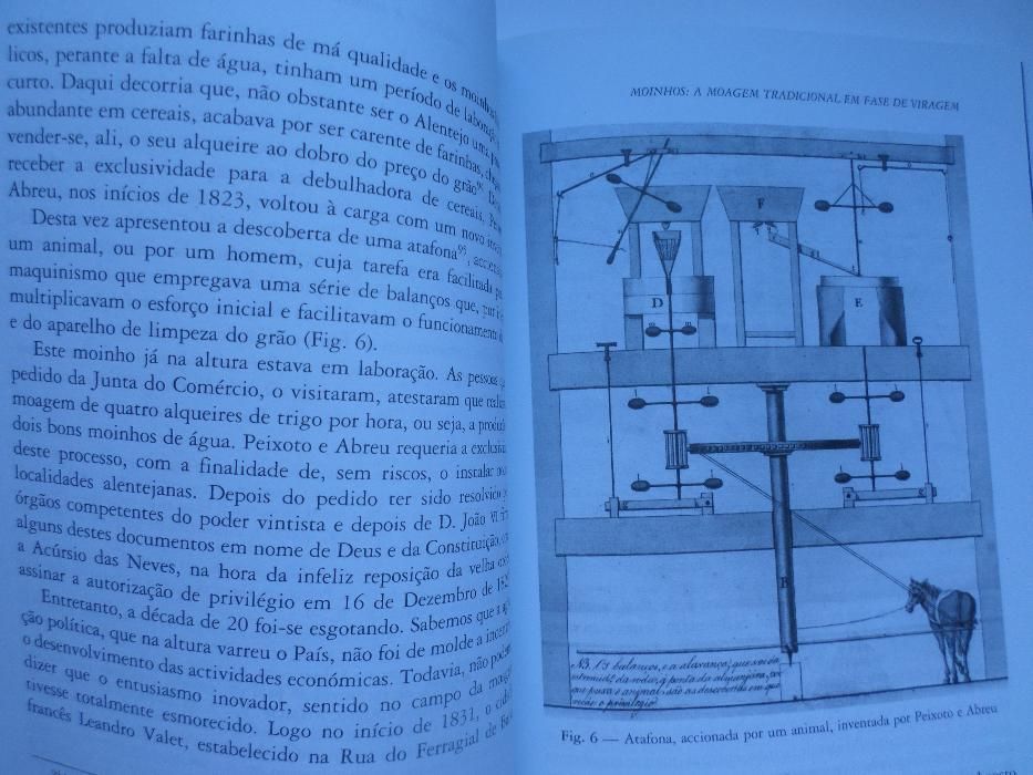 Farinhas e Moagens