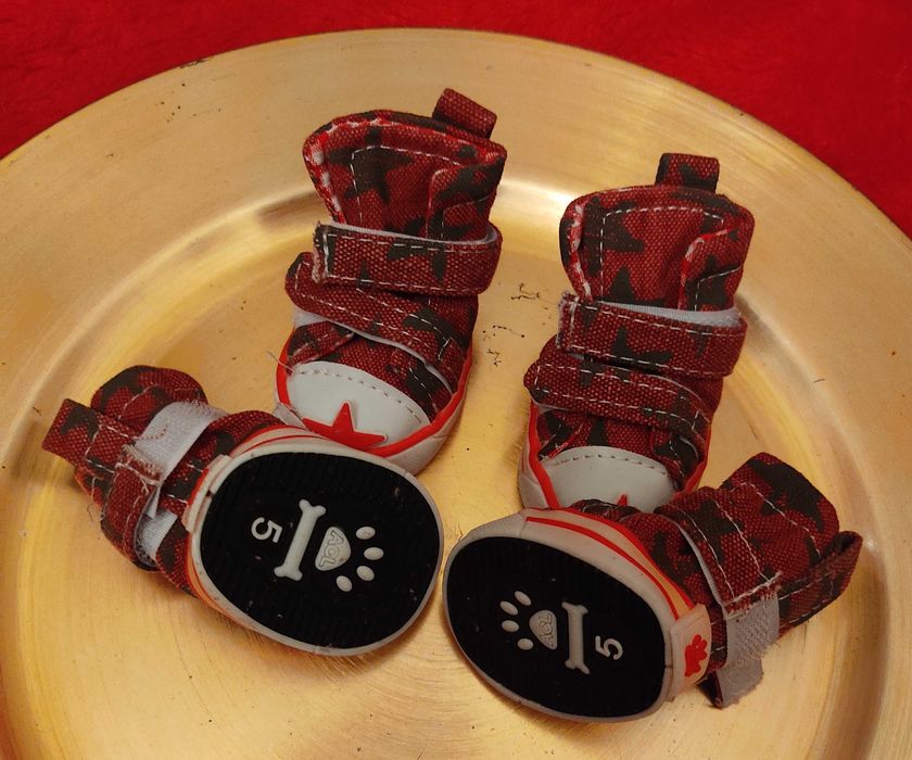Botas para Cachorro T. 5