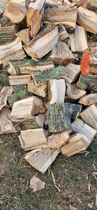 Drewno kominkowe opałowe Wiąz