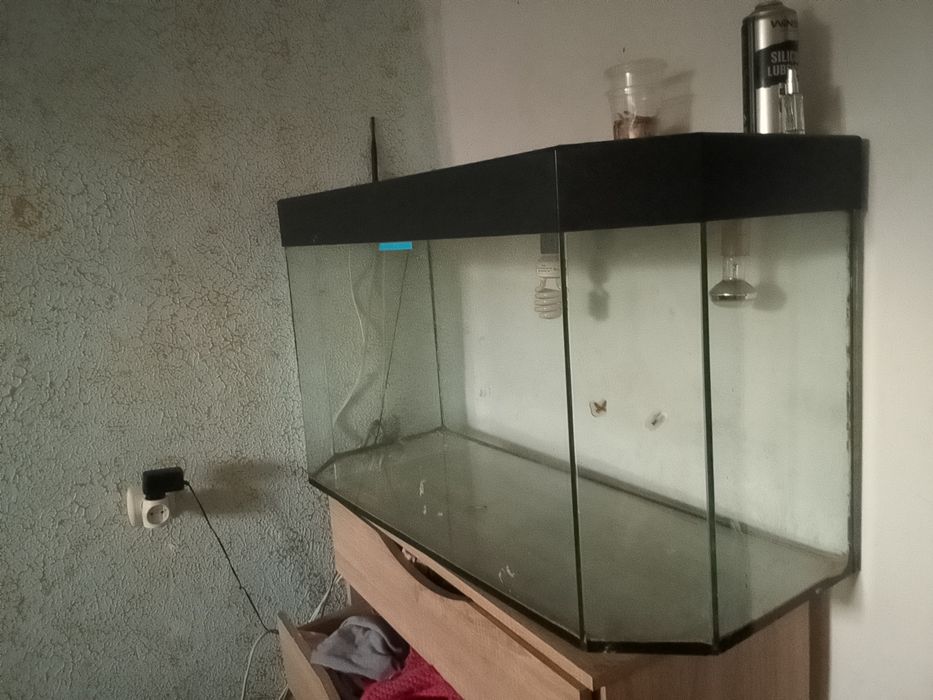 Продам тераріум.