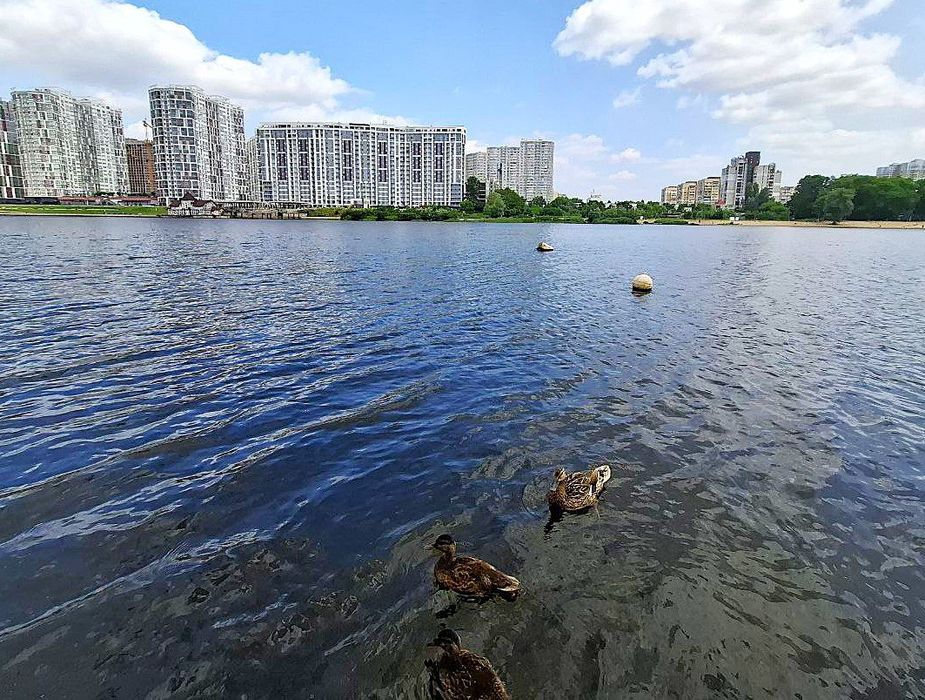 Бесідка на воді, альтанка з мангалом