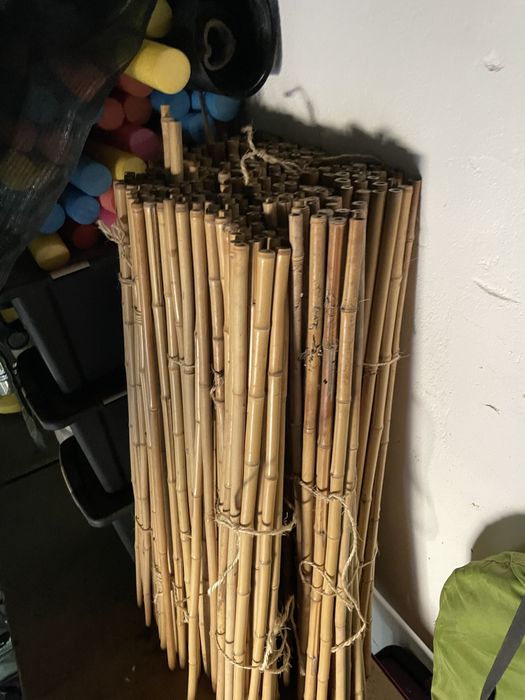 Bambu 100cm x 2 cm