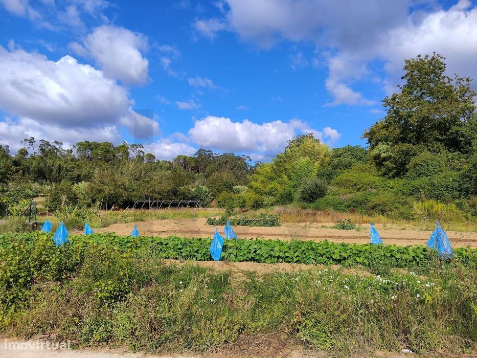 Quinta da Barata