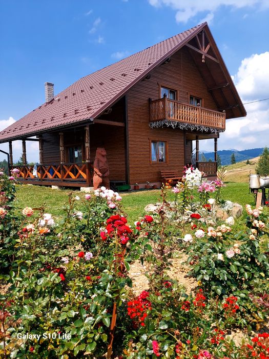 Здається котедж Карпатська модринка