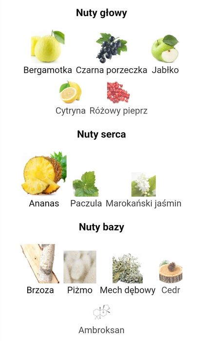 SANSIBAR ADVENTUROUS 100ml.*Eau de Parfum for Men*Vegan(Creed Aventus)