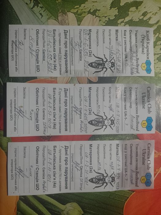 Карніка бджоломатки , карника пчеломатки F1 Пернер,Тройзек,Зінге