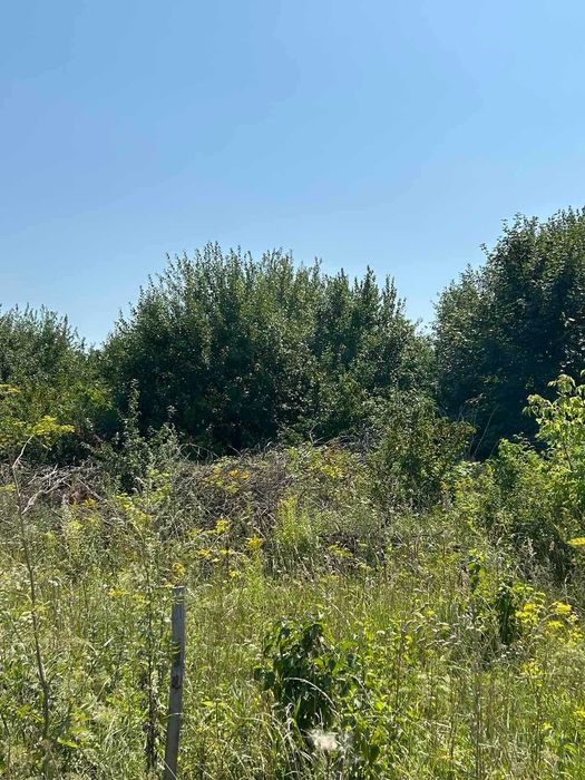 Продаж земельної ділянки в 10 хвилинах від м. Хмельницького.