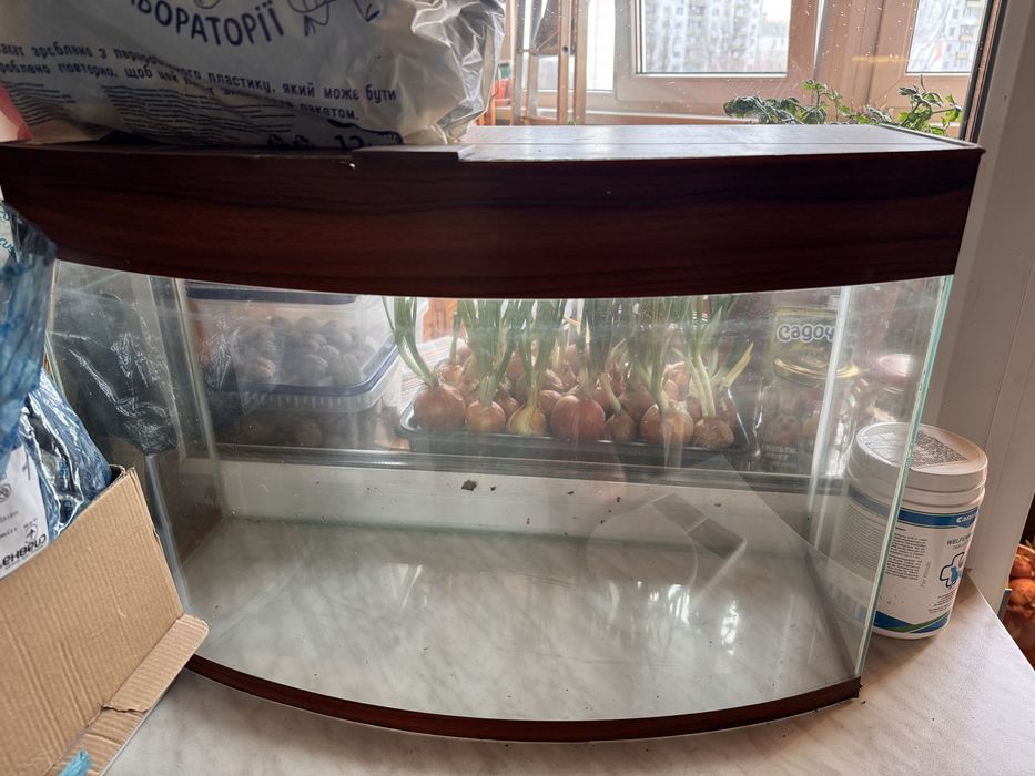 Акварім приблизно на 50 л