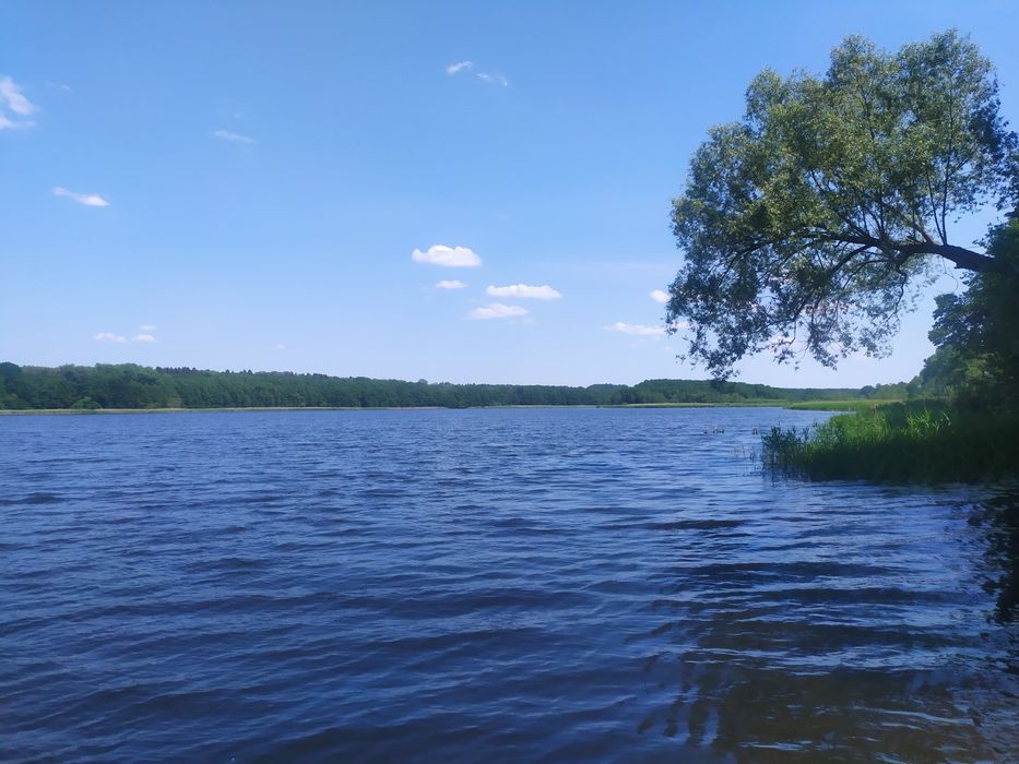 Do sprzedania działka rekreacyjna 100 m od jeziora - Więcej