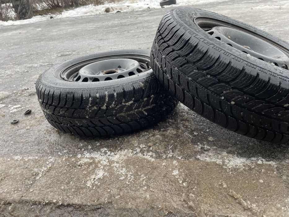 Колеса в зборі Debica Frigo2 195/65 R15