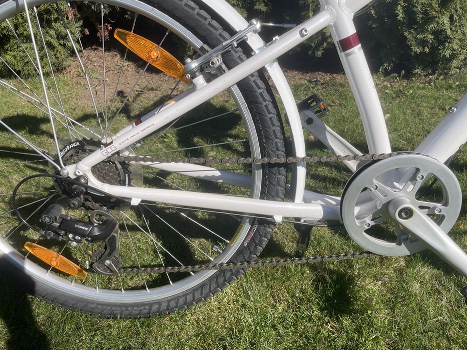 Rower Specialized Expedition