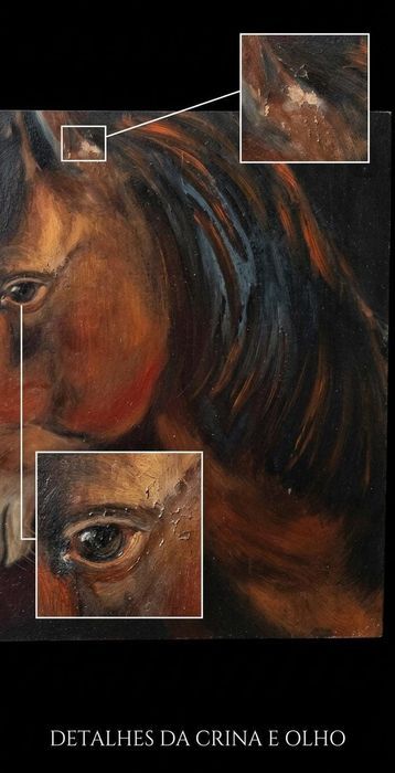 Pintura a Óleo sobre Madeira - Retrato de Cavalo (Assinado "Galma") | Peça de Acervo