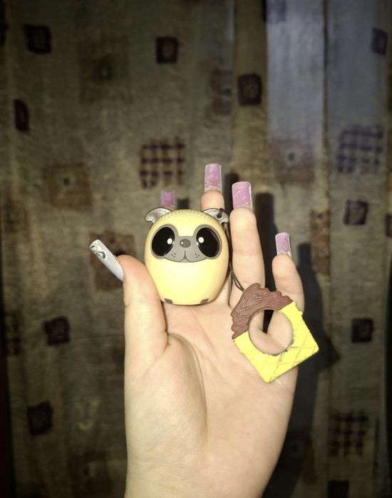 Колонка дитяча, мопс