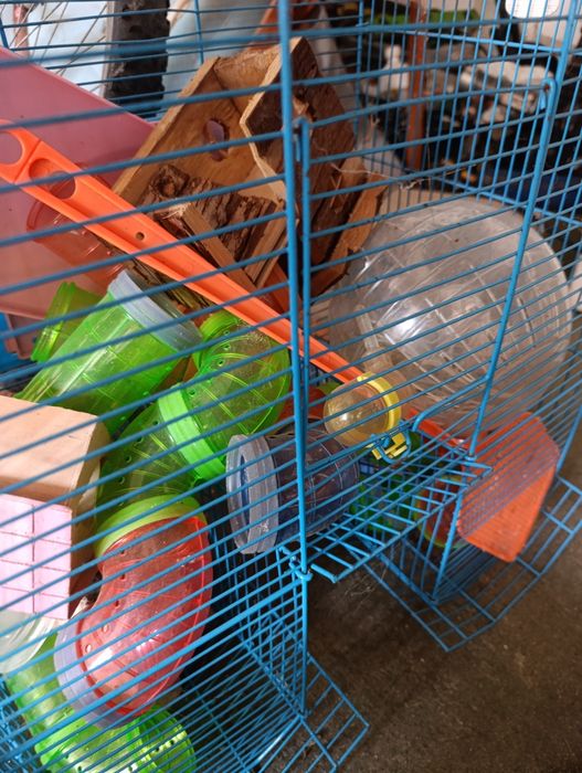 Gaiola para hamster