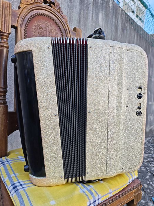 Instrumentos Musicais Acordeon
