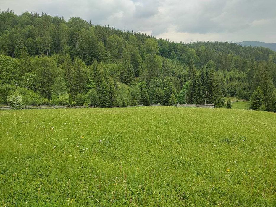 Продається земельна ділянка в серці Карпат ( Кривопільський перевал )