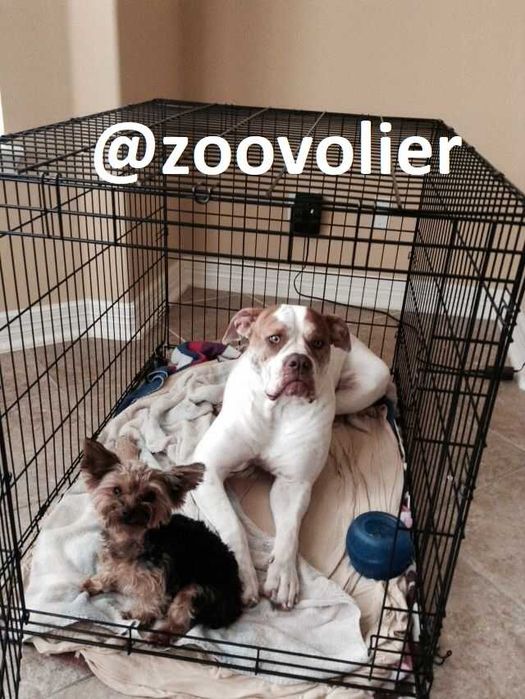 Клітка для собак та кішок S-XXL переноска манеж домик будка для собак