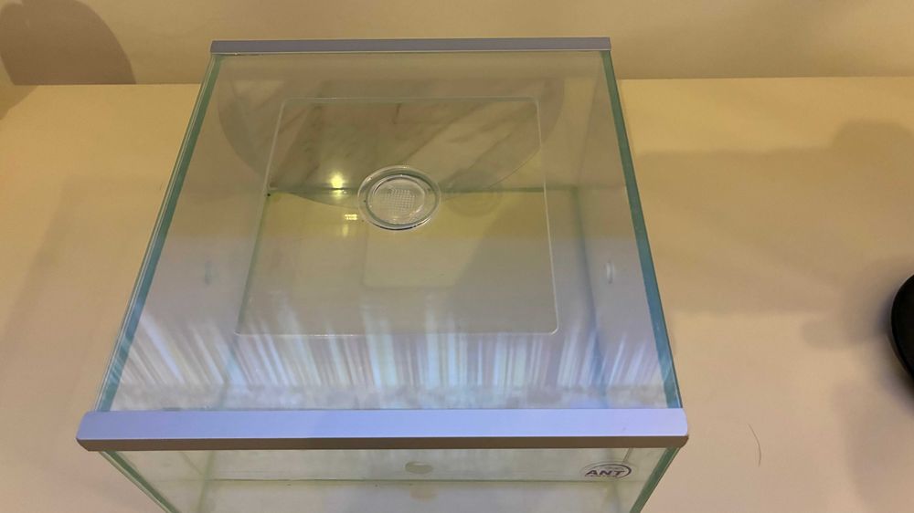 Formikarium LUBI Next Step + akcesoria