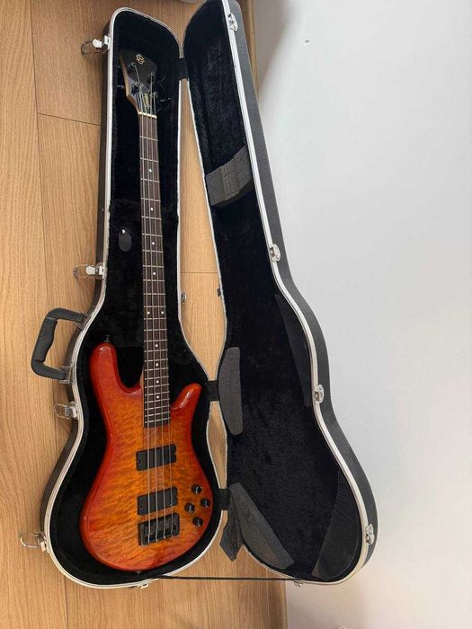 Spector, bas, gitara basowa, bass guitar, Warwick, Ibanez, Fender