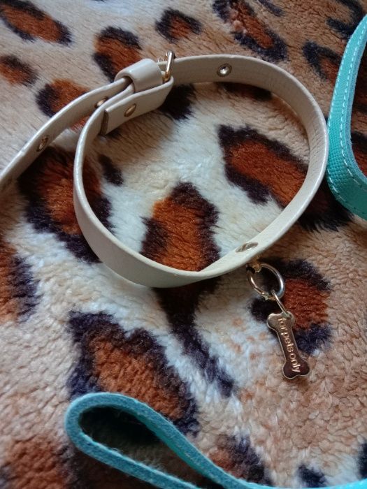 Ошейник итальянского бренда For pets only +кожаный поводок для собак