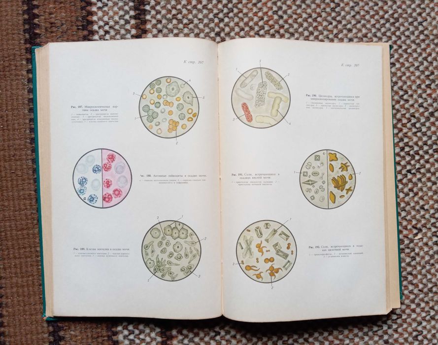 Пропедевтика внутренних болезней