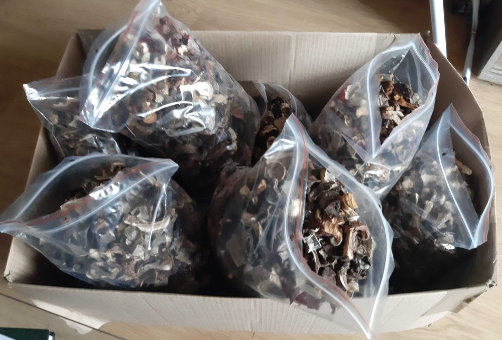 Grzyby suszone miks, do sprzedania 8kg.