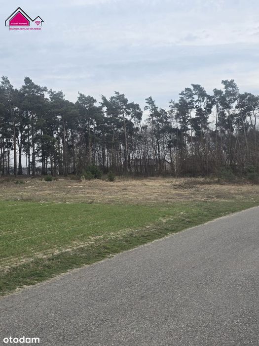 Działka z własnym lasem blisko centrum Konina