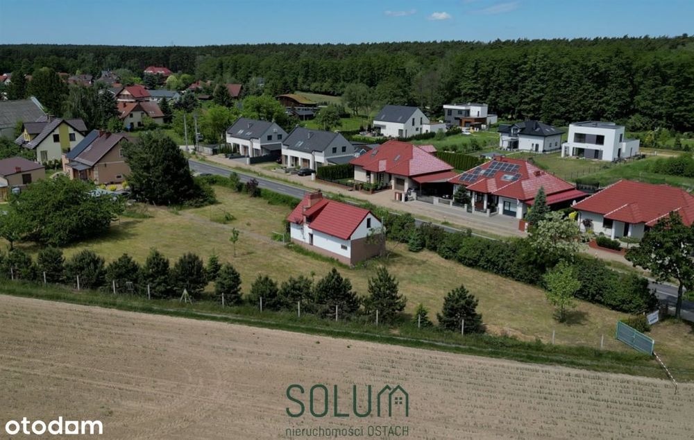 Działka Dąbcze 2572 m2