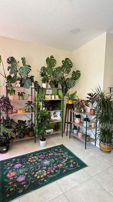 TRESPASSE Flower Bar único em Setúbal – pronto a funcionar