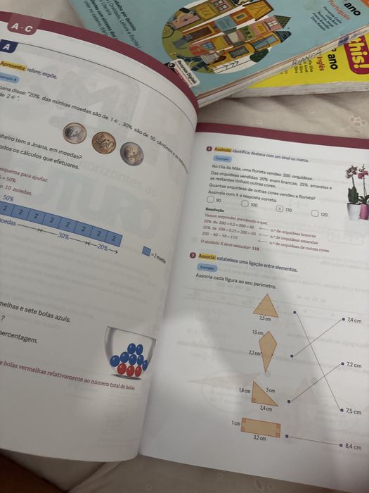Caderno De Fichas 5 Ano