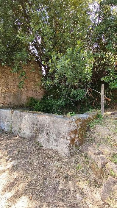 Terreno Urbano em Castelo Viegas