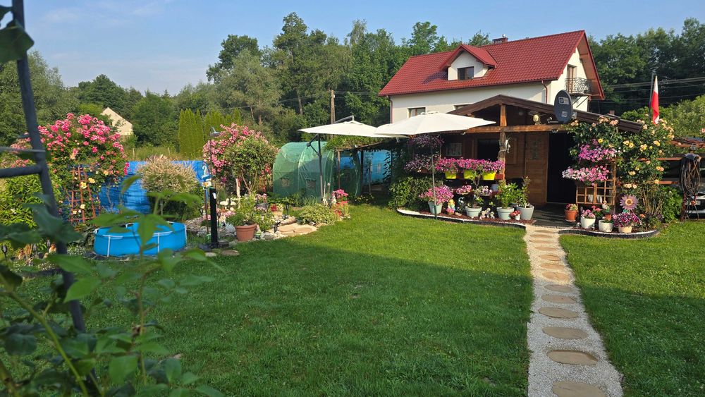 Zdjęcie 6