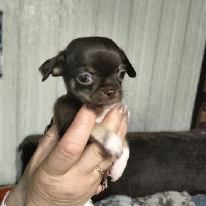 Минички-малышки и мальчишки.