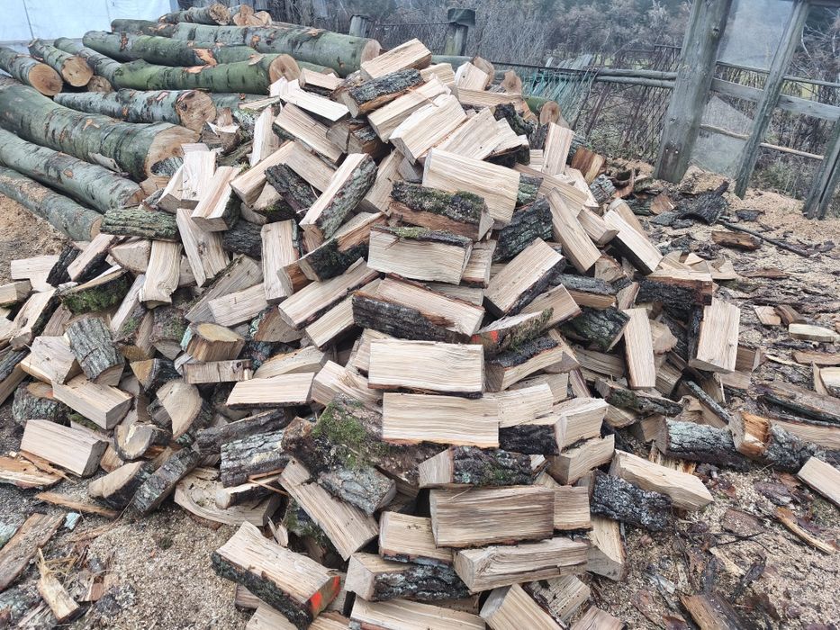 Drewno kominkowe liściaste: buk,dab