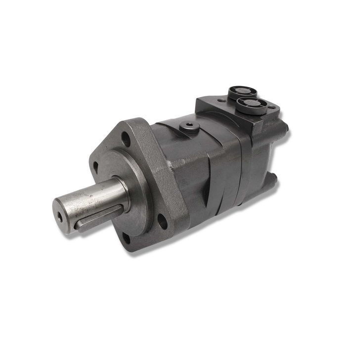 SILNIK Hydrauliczny BMS SMS OMS 125 cm3 ALSG3 GR3 [4213]