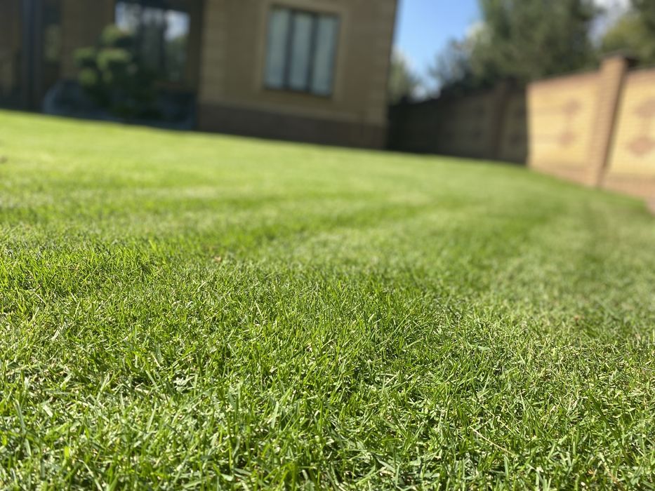 Стрижка газона,аэрация,скарификация, стрижка хвойных растений