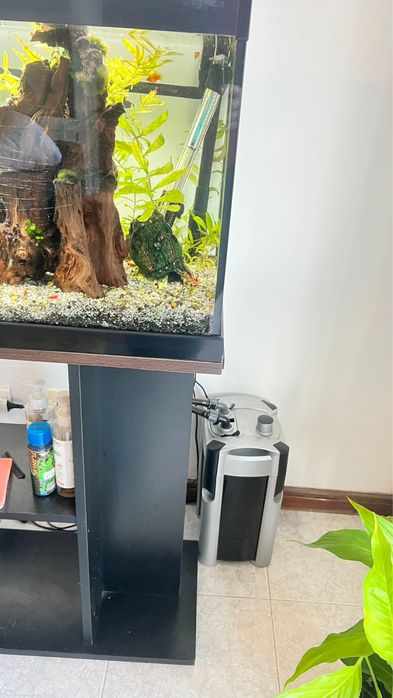 Aquario 150ltr completo
