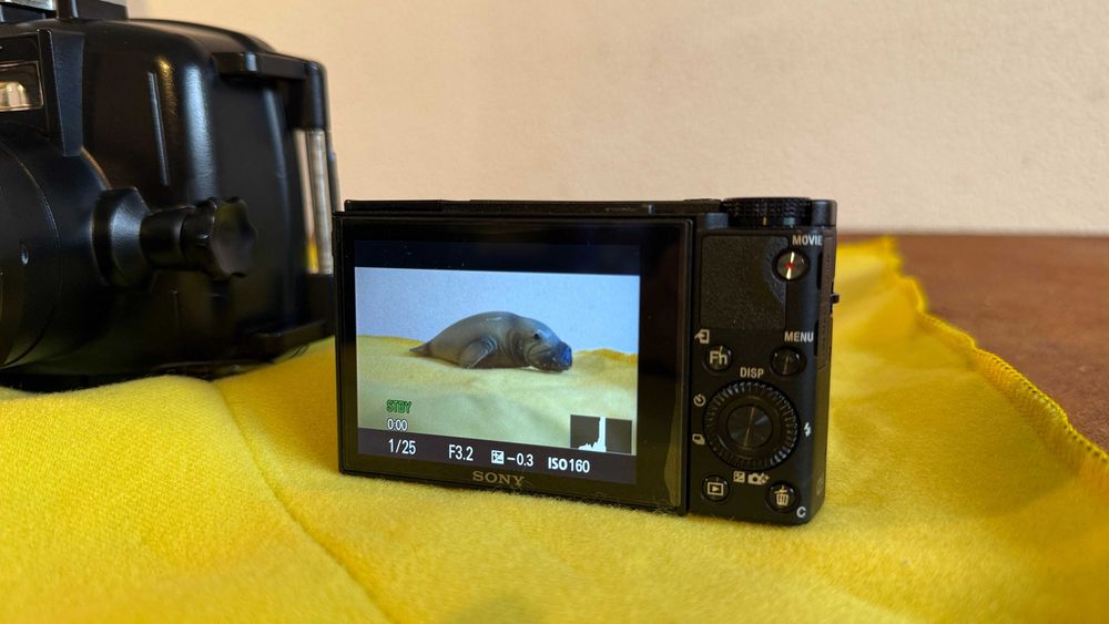 Sony RX100 V com caixa estanque da Fantasea para mergulho