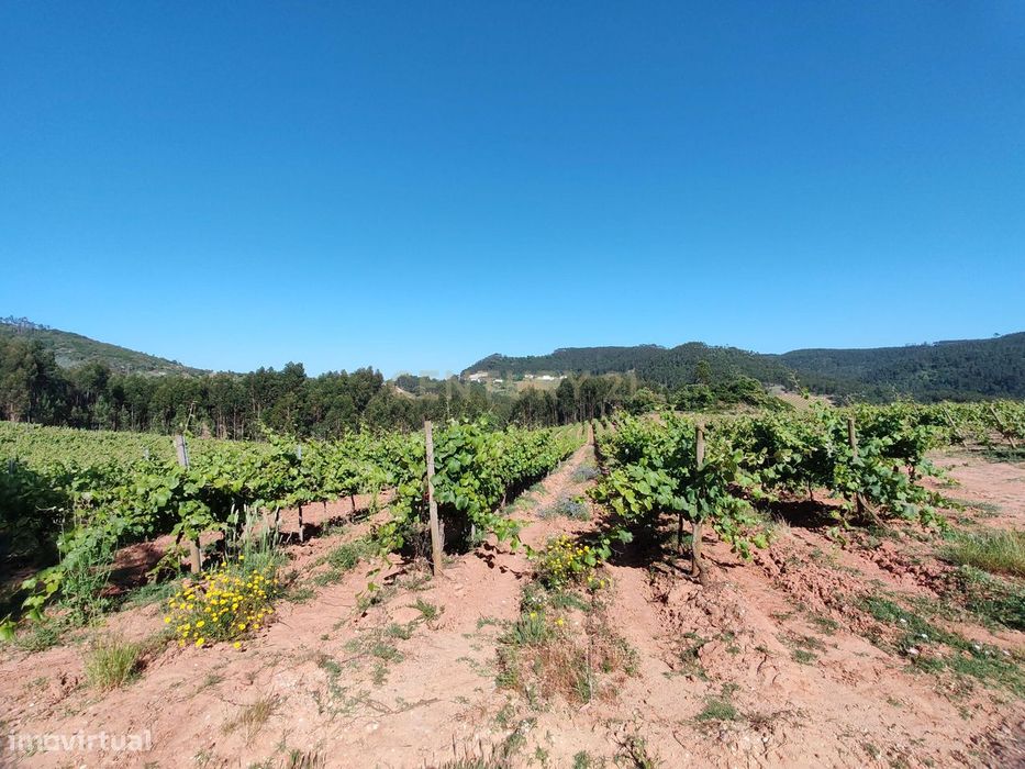 Terreno com 21 hectares - Mafra