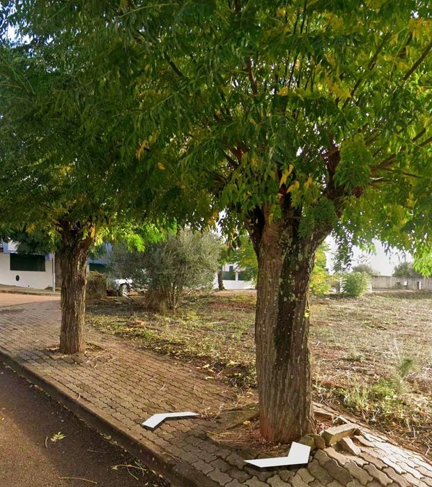 Terreno Lote Urbano  para Construção